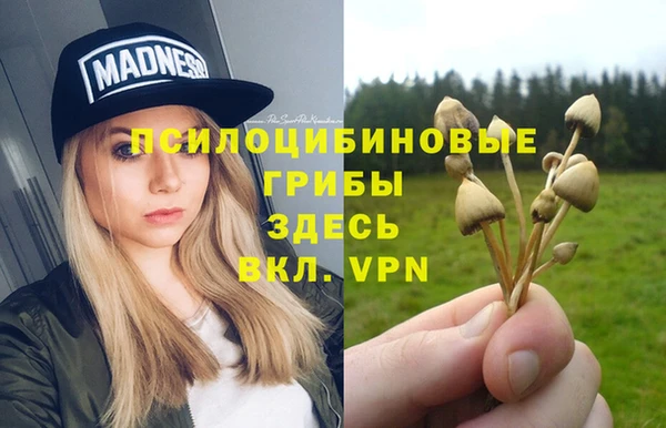 альфа пвп Баксан