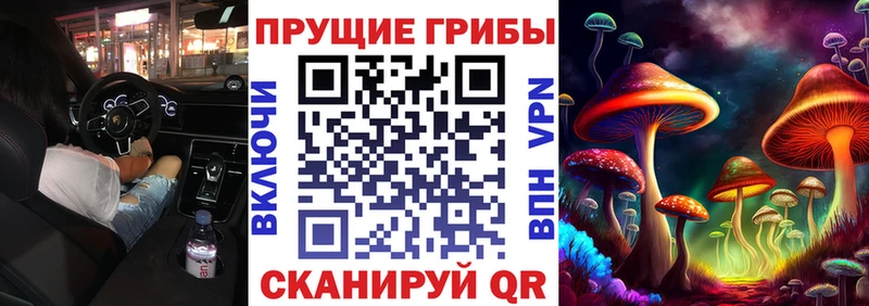ссылка на мегу   Лакинск  Псилоцибиновые грибы Psilocybine cubensis 